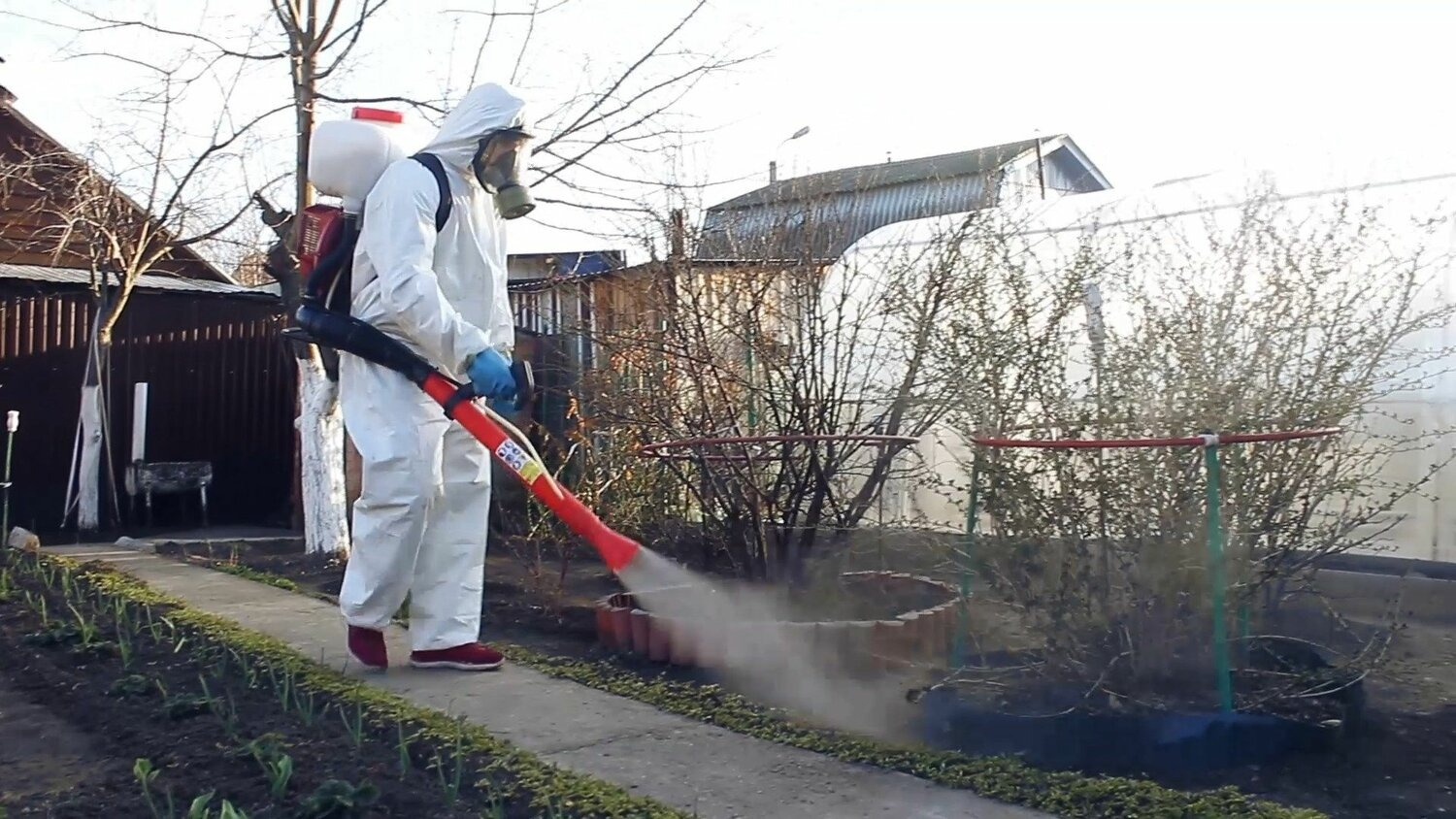 ФОТО Уничтожение муравьёв в районе Москвы Братеево