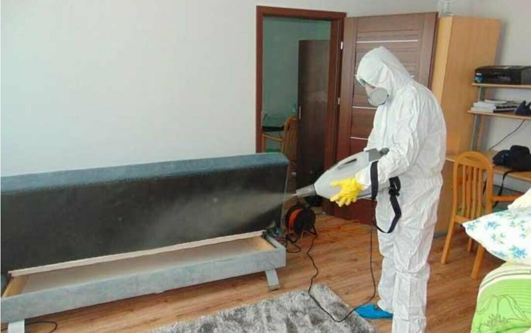 ФОТО Уничтожение блох в районе Москвы Братеево