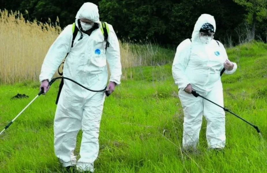 ФОТО Обработка от клещей в районе Москвы Братеево