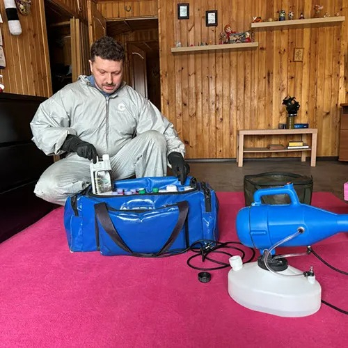 ФОТО Дератизация в районе Москвы Братеево