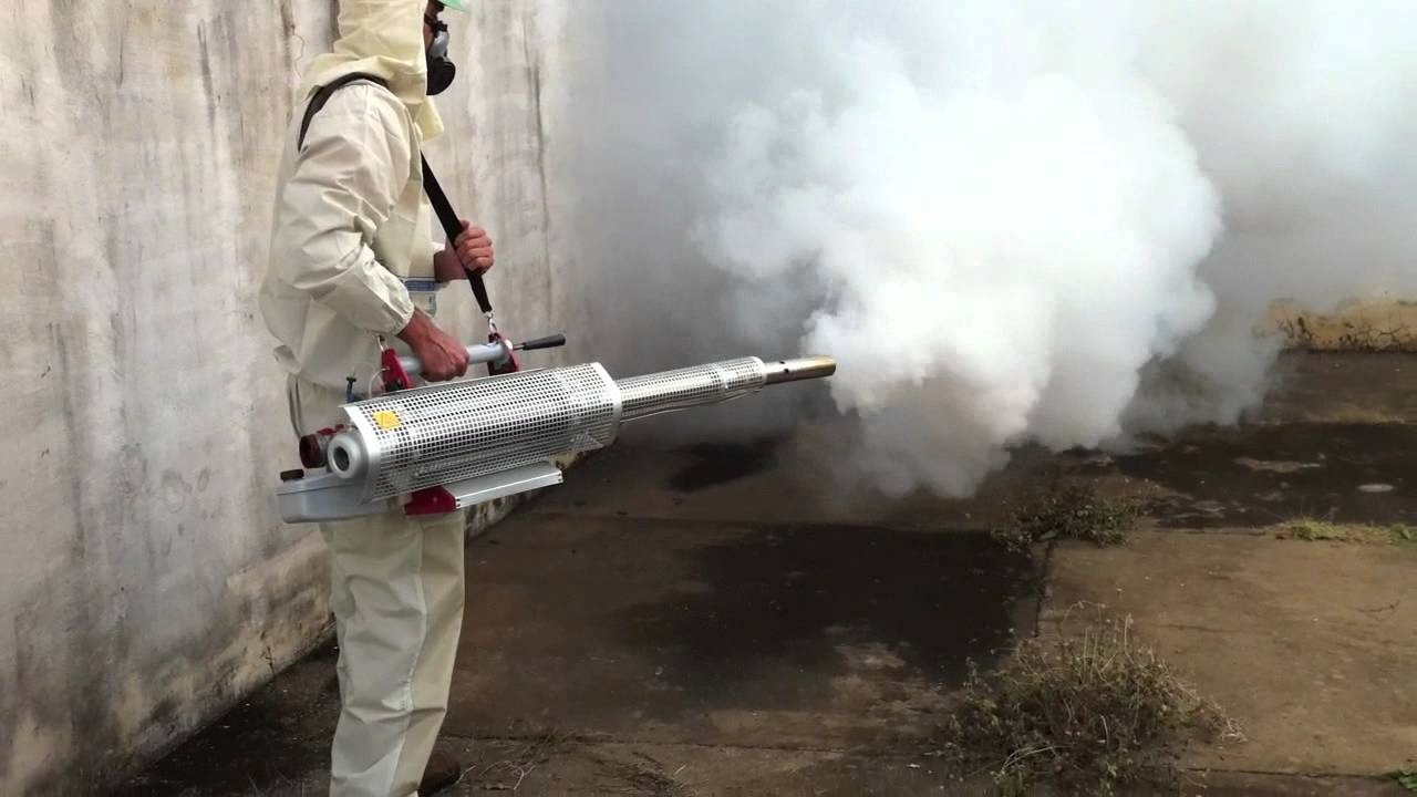 ФОТО Уничтожение мух в районе Москвы Братеево