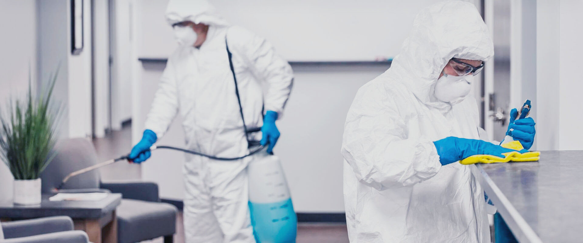 ФОТО В чем разница между дезинфекцией и дезинсекцией в районе Москвы Братеево? | подробно