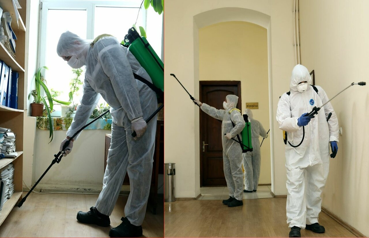 ФОТО Требуется ли лицензия для дезинсекции и дезинфекции в районе Москвы Братеево? | подробно