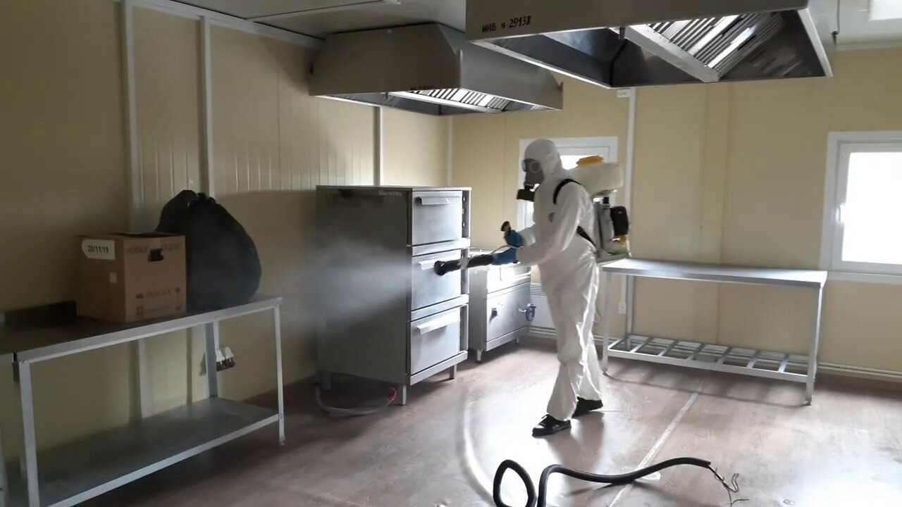 ФОТО Можно ли провести дезинсекцию самостоятельно и какие существуют риски в районе Москвы Братеево? | подробно