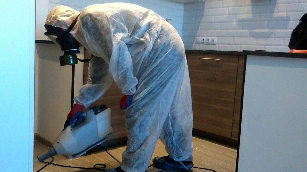 ФОТО Как подготовить домашних животных к обработке от насекомых в районе Москвы Братеево? | подробно