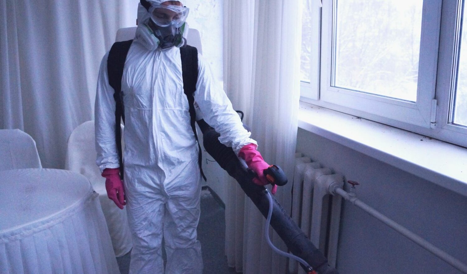 ФОТО Нужно ли выносить растения при дезинсекции в районе Москвы Братеево? | подробно