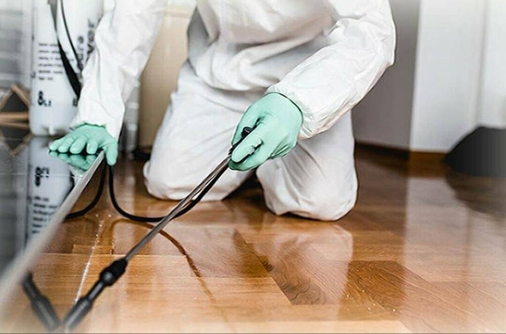 ФОТО Как подготовить вентиляцию при предстоящей дезинсекции в районе Москвы Братеево?