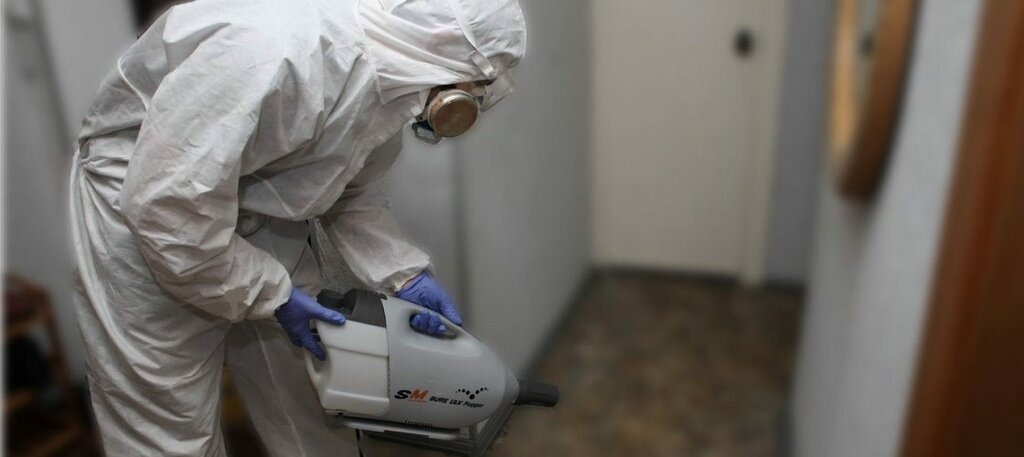 ФОТО Остаются ли следы после обработки квартиры от насекомых в районе Москвы Братеево? | подробно