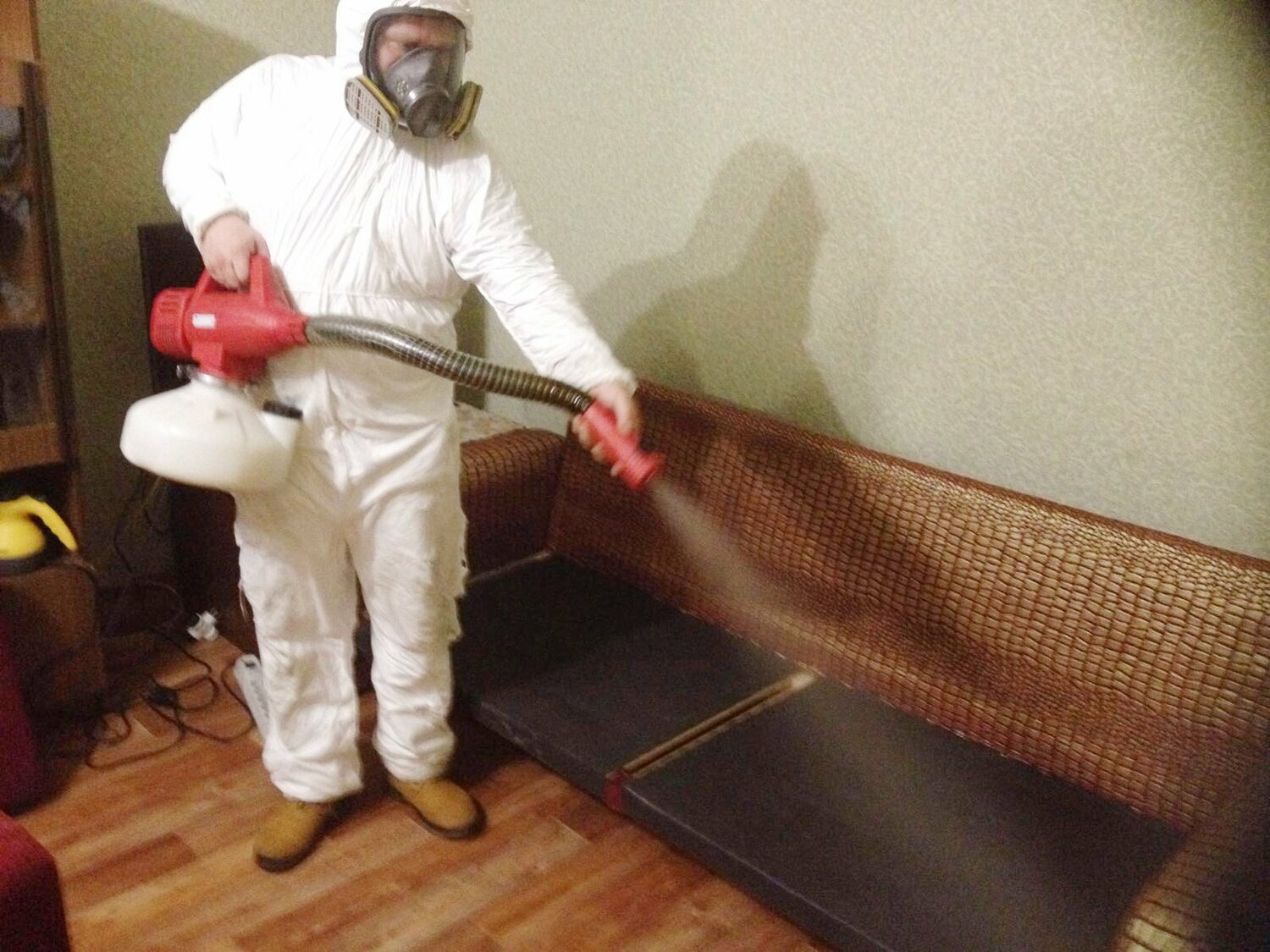 ФОТО Когда можно вернуться в помещение после дезинсекции в районе Москвы Братеево? | подробно