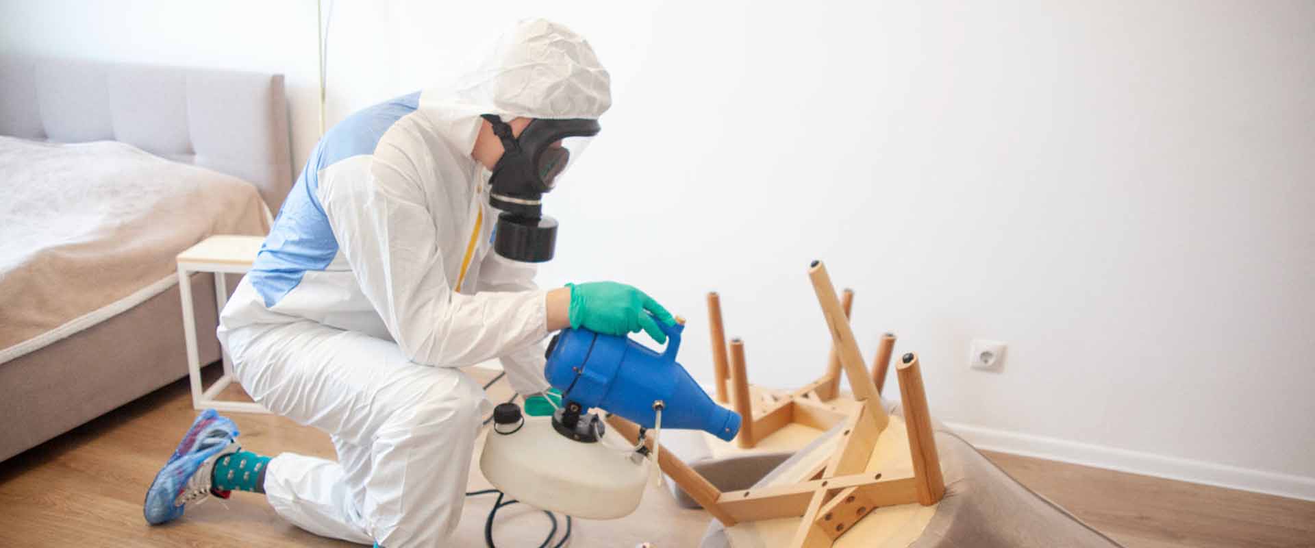 фото: Уничтожение постельных клопов с 1-го раза с гарантией за 30-60 мин. в районе Москвы Братеево без предоплаты