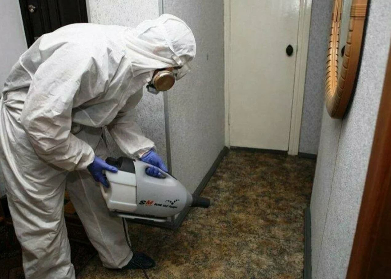 фото: Профессиональная дезинсекция в районе Москвы Братеево: <br/>+7-909-173-42-96