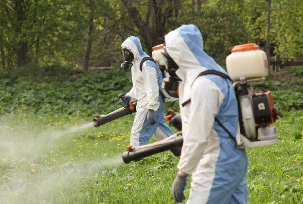 фото: Профессиональное уничтожение мух в районе Москвы Братеево: <br/>+7-909-173-42-96